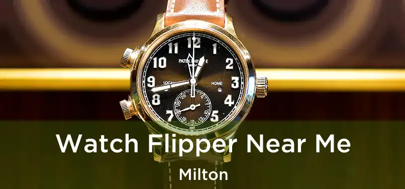 Watch Flipper Near Me Milton